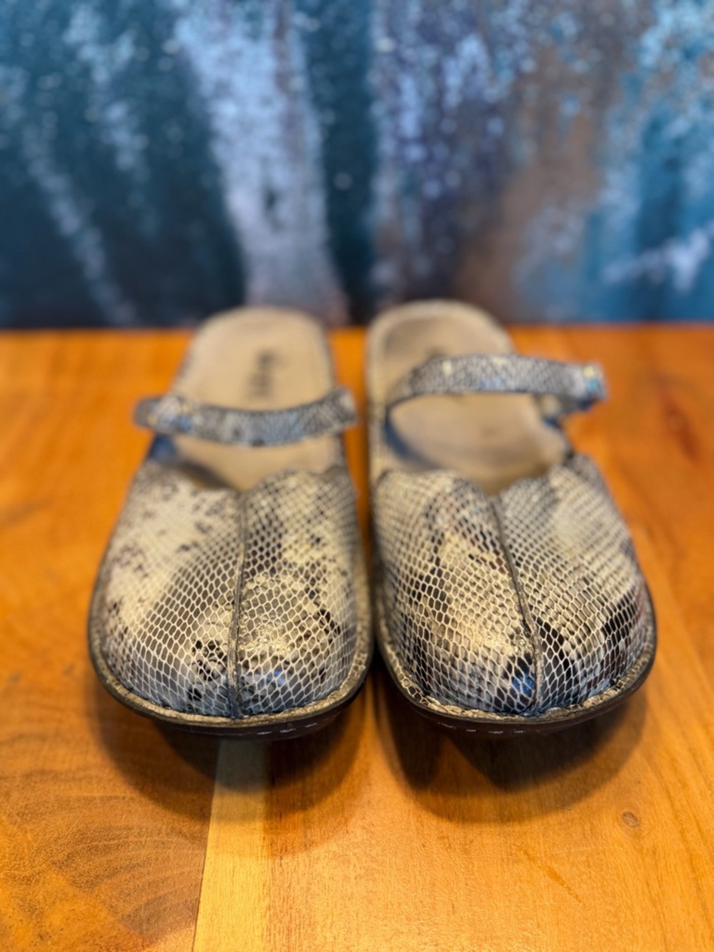 Alegria Boho Snakeskin Leather Mary Jane Clog Mule Gray/Black (GUC) - Picture 6 of 16